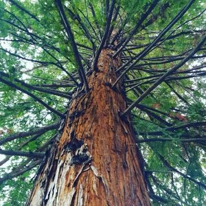 Meet your Posher, Demianrivera